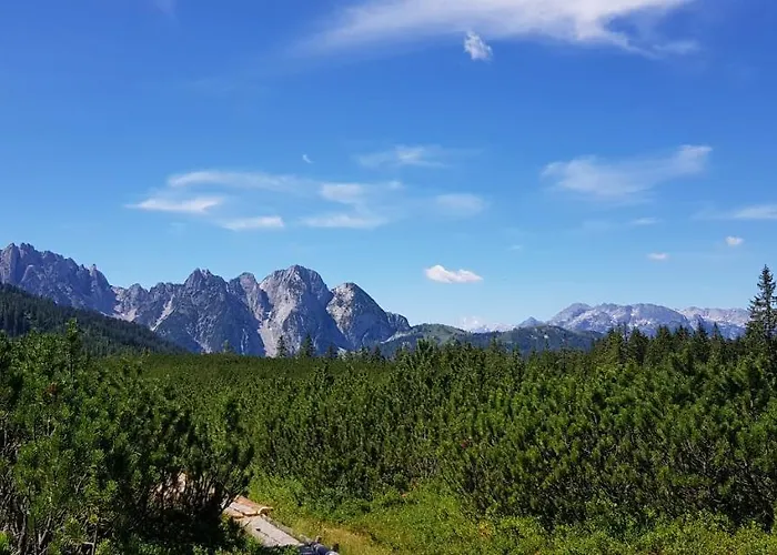 Kalvarienberg 아파트 *