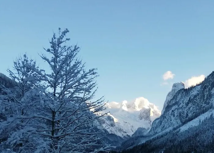 아파트 Kalvarienberg 고사우