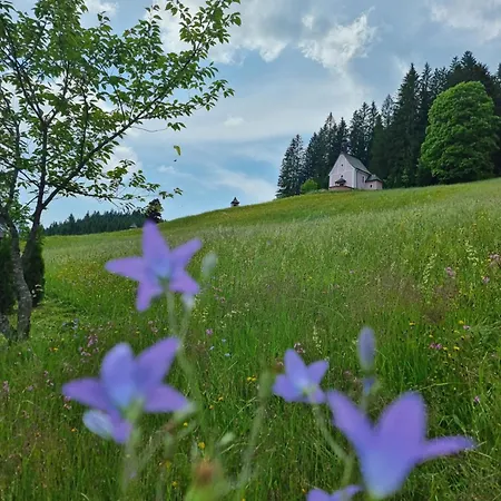Kalvarienberg Gosau